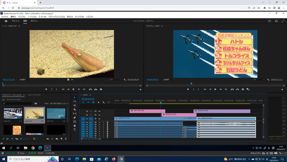 Dejero LivePlus for Windows